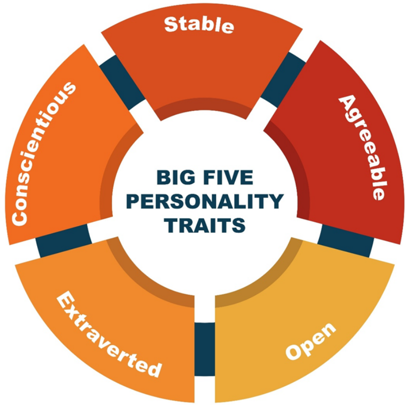 Psychometric Test for Merchant Navy: Latest Questions, Pattern, Syllabus & Interview Tips